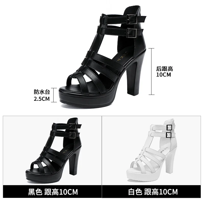 Gladiator Ladies Shoe for Wome - огляд і ціна Women'S Fashion Line